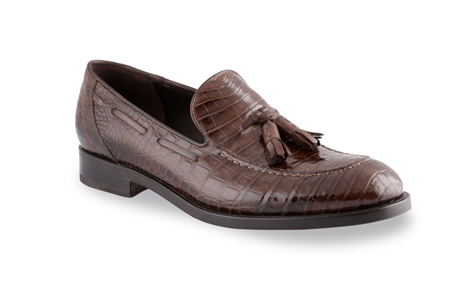 Brera_Crocodrile